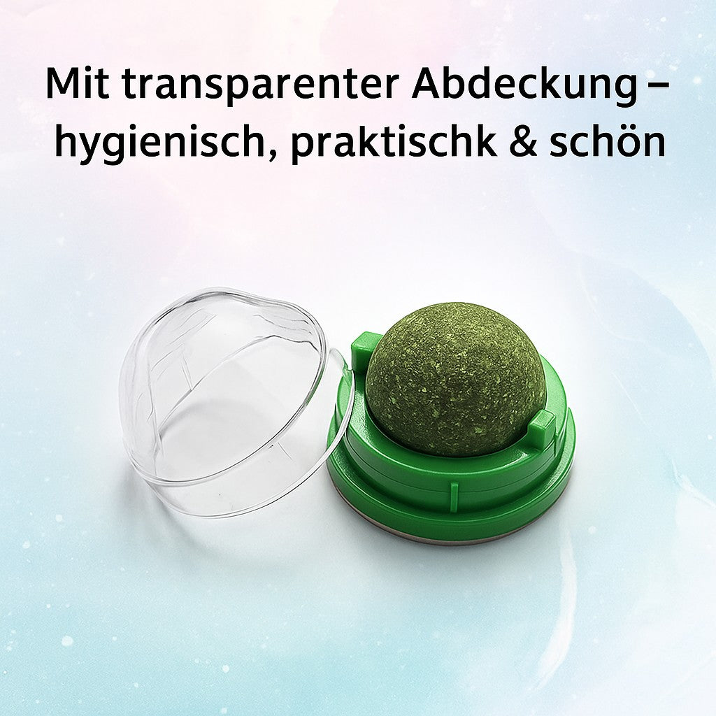 Katzenminze-Wandball zum Ankleben – Natürlicher Snack & Spielzeug, fördert die Verdauung